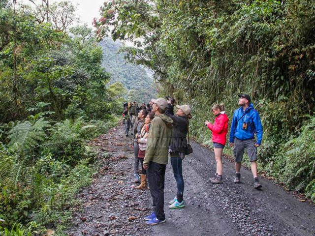 Manu Cultural Zone With Rafting 4 Days / 3 Nights