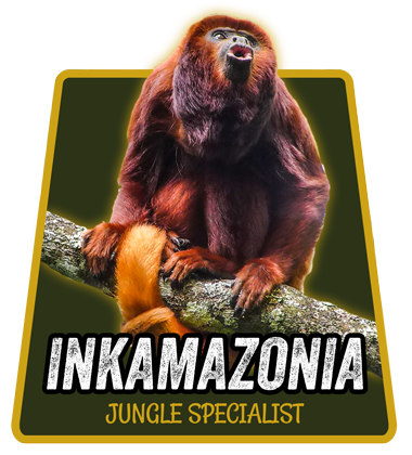 Inka Amazonia